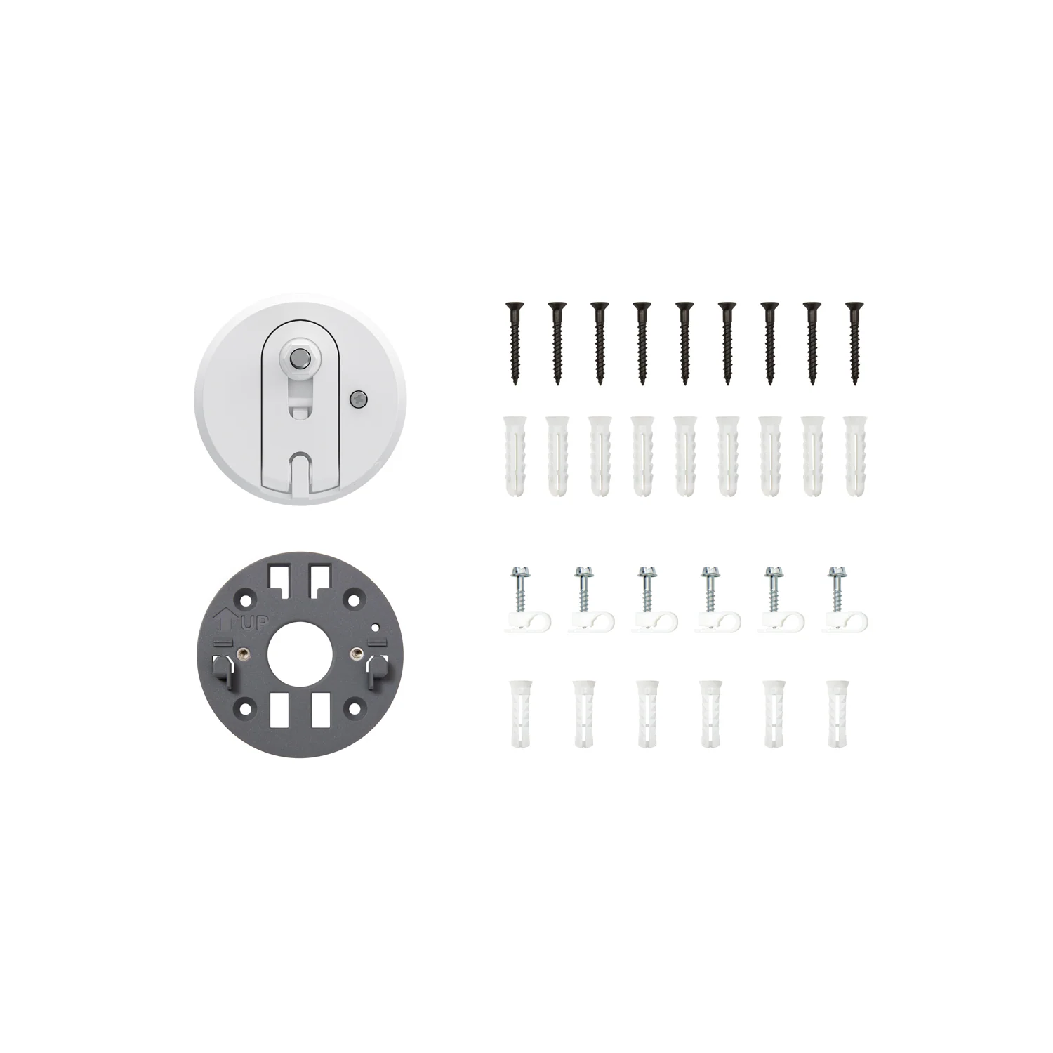 10% Ring Protect - evergreen period